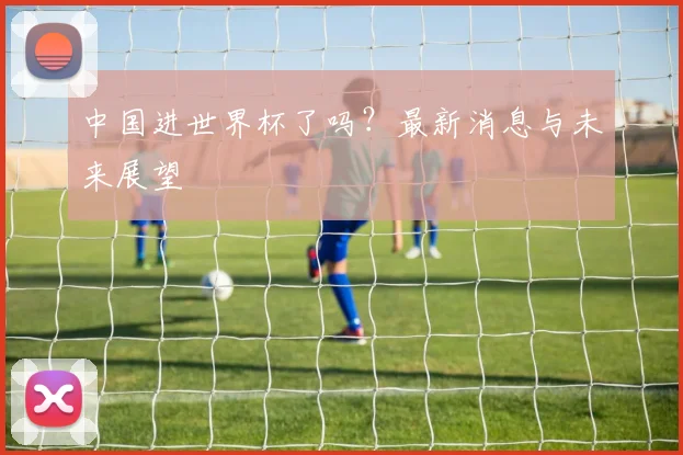 中国进世界杯了吗？最新消息与未来展望