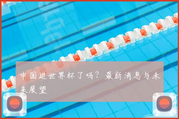中国进世界杯了吗？最新消息与未来展望