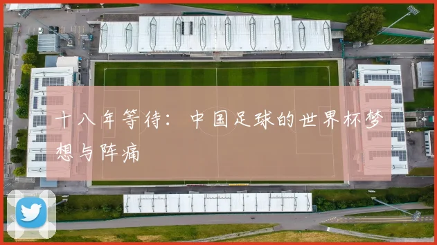 十八年等待:中国足球的世界杯梦想与阵痛