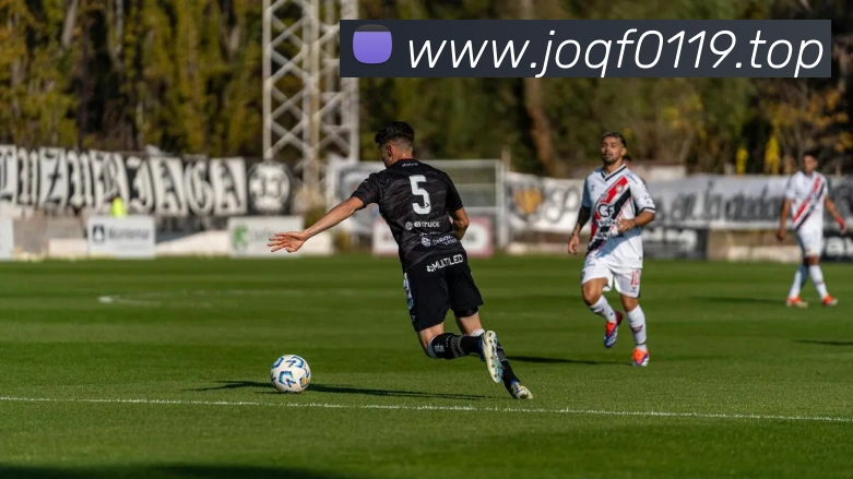 开云在线登录入口官网平台生态图